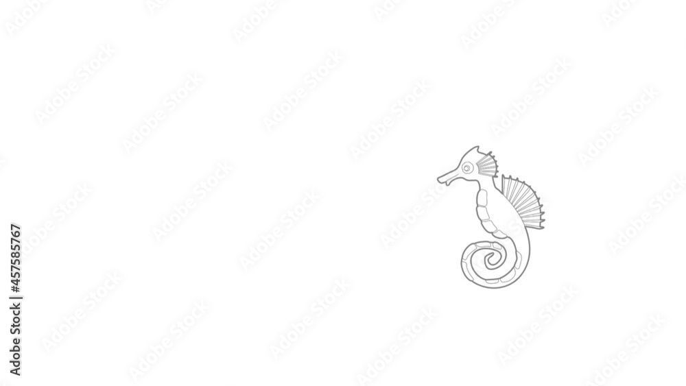 Seahorse icon animation best outline object on white background Seahorse icon animation best outline object on white background