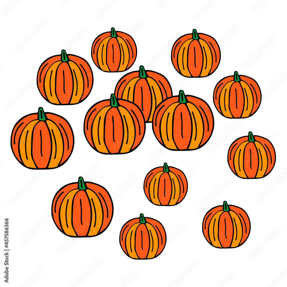 Beautiful bright orange pumpkins for holiday halloween isolated on a white background