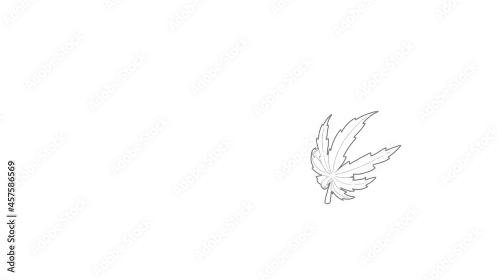 Marijuana leaf icon animation best outline object on white background Marijuana leaf icon animation best outline object on white background