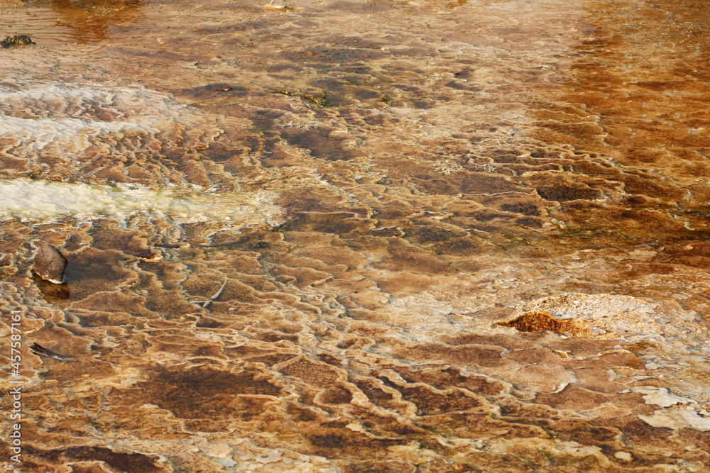 Geyser Pool
Yellowstone National Park