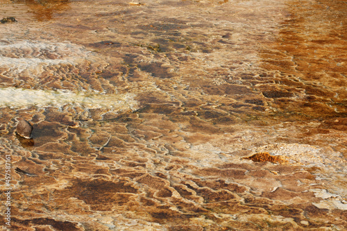 Obraz na płótnie Geyser Pool
Yellowstone National Park w salonie