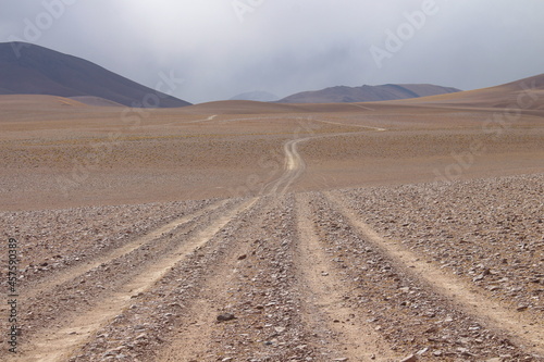 Desert Road in amazing landscape