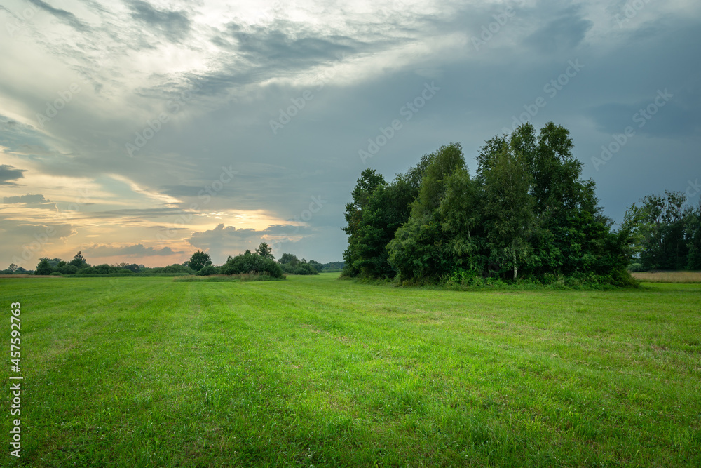 Green meadow with trees and cloudy evening sky