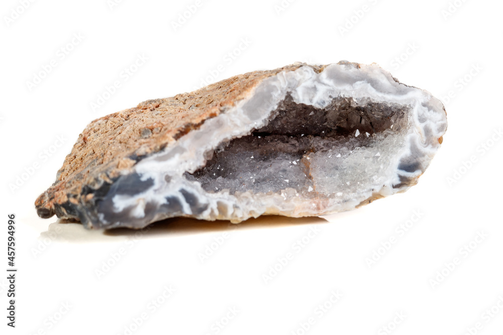 Macro mineral stone agate kidney gerbera on white background close up Macro mineral stone agate kidney gerbera on white background close up