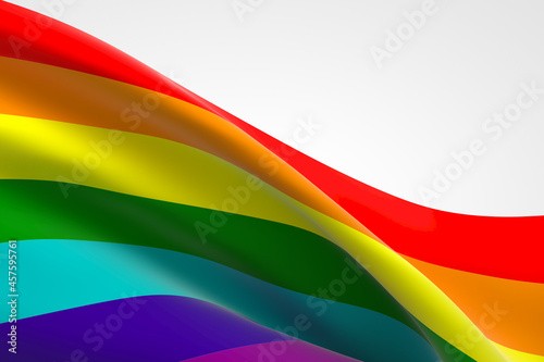 The gay pride flag
