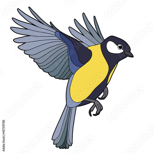 Tit. Small bird. Yellow-blue bird. 