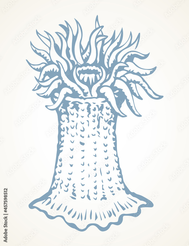 Sea creature. Vector drawing icon Sea creature. Vector drawing icon