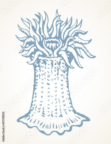 Sea creature. Vector drawing icon photo