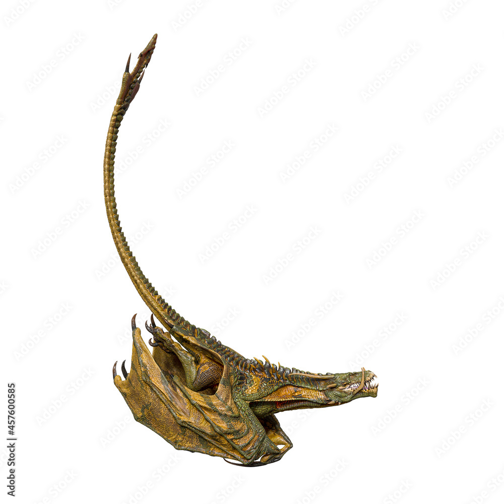 Fototapeta premium magic dragon is diving