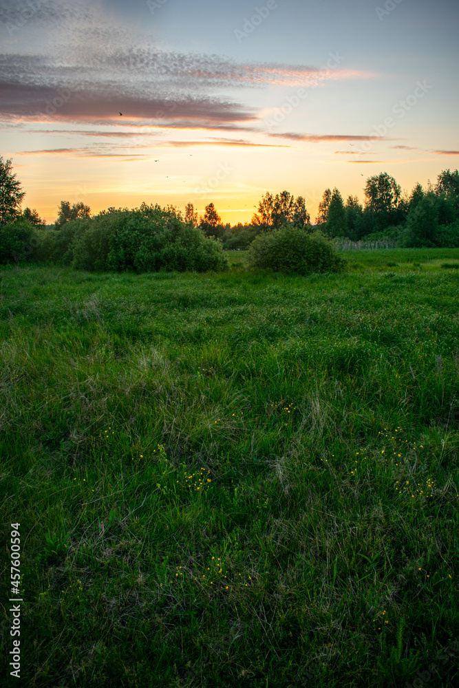 Obraz premium gentle and beautiful sunrise in the field in summer