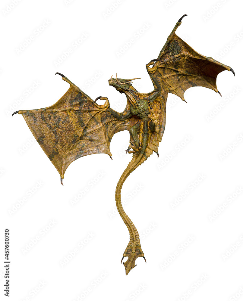 magic dragon is hunting down bottom view magic dragon is hunting down bottom view