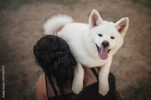 Funny white female akita inu with pink ears and her tongue hanging out sitting on the shoulder of a girl in black clothes with dark hair on the background of a sandy beach