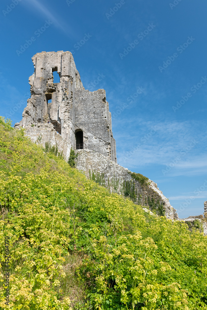 The ruins of Corfe castle in Dorset