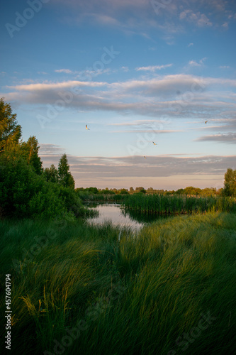 gentle sunrise over the lake in summer