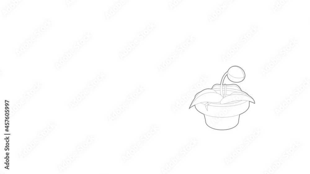 Plant in pot icon animation best outline object on white background Plant in pot icon animation best outline object on white background