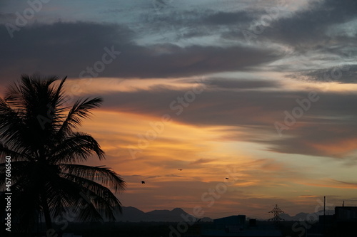 ORANGE SKY AND PALM TREE