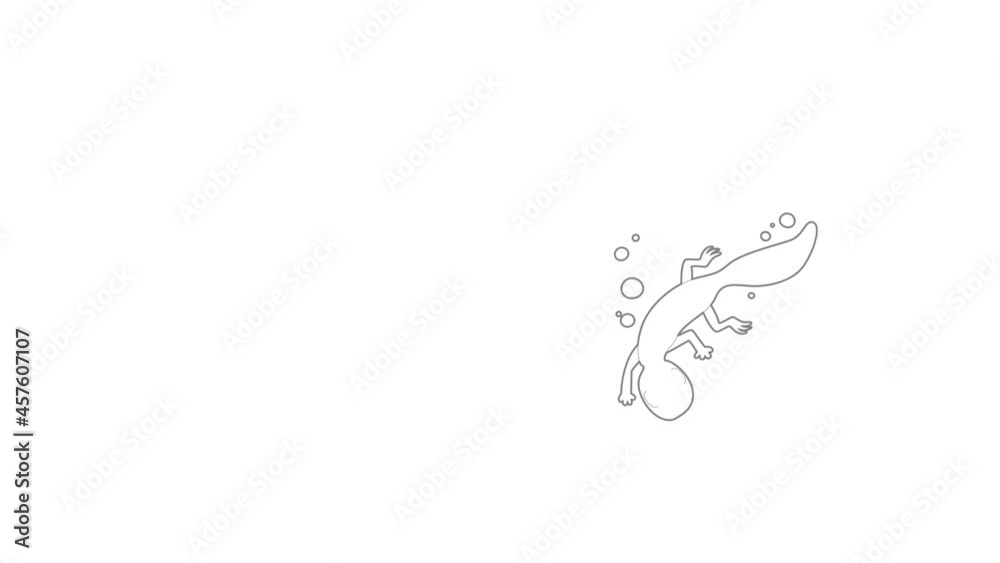 Swimming lizard icon animation best outline object on white background Swimming lizard icon animation best outline object on white background