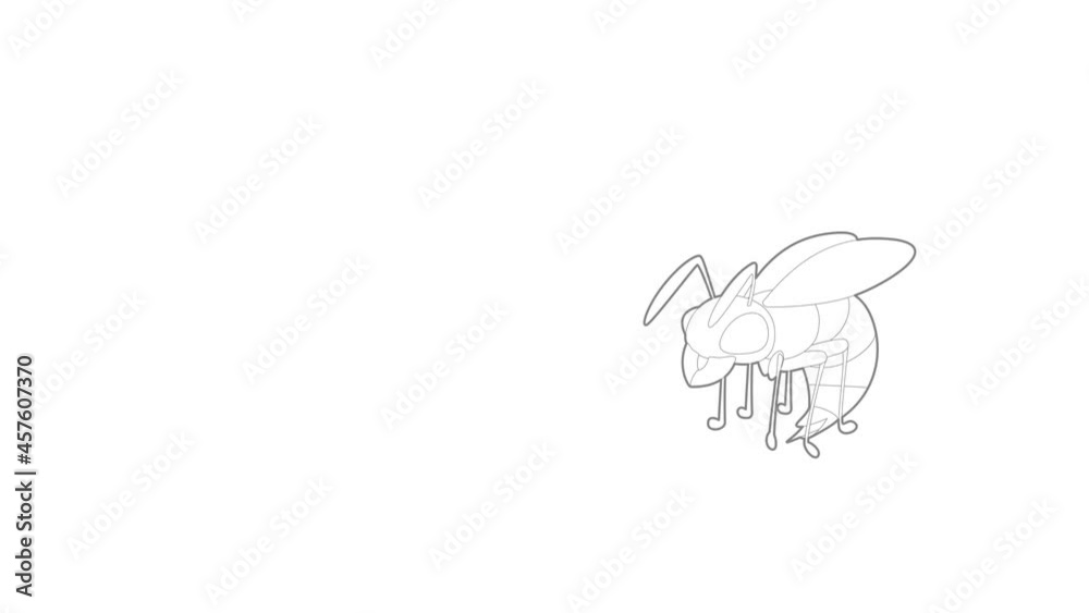 Wasp icon animation best outline object on white background