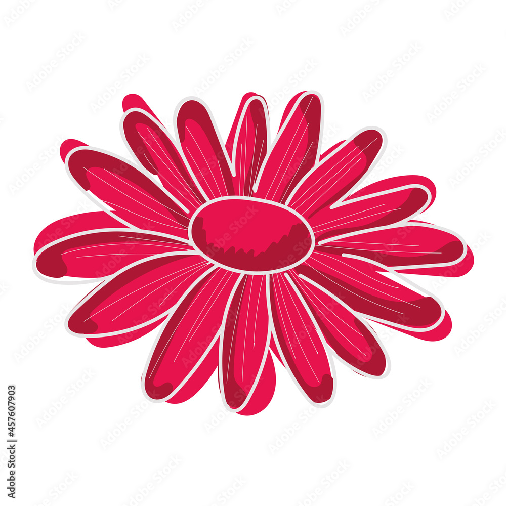 Sketch of a pink daisy flower Sketch of a pink daisy flower