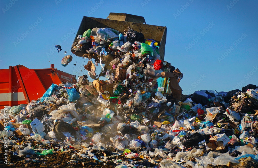 Caterpillar compactor working in a landfill - obrazy, fototapety, plakaty 