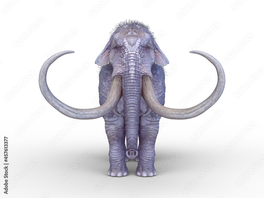 Obraz premium マンモス