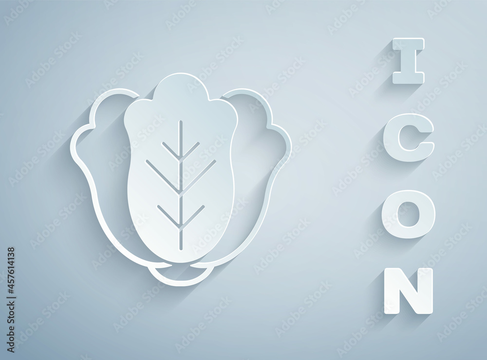 Paper cut Fresh cabbage vegetable icon isolated on grey background. Paper art style. Vector Paper cut Fresh cabbage vegetable icon isolated on grey background. Paper art style. Vector