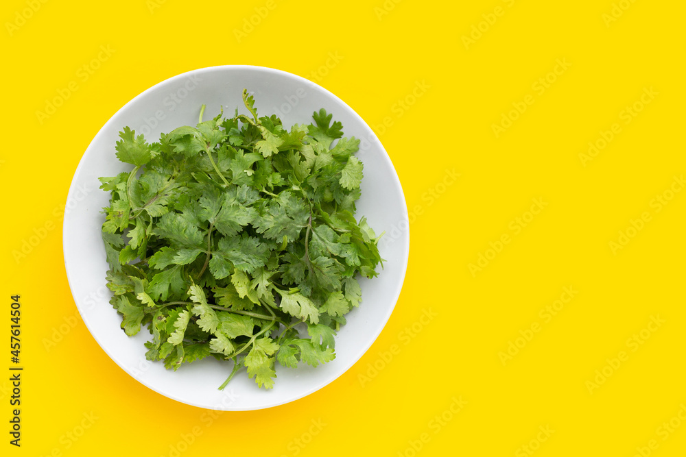 Fresh coriander leaves in white plate on yellow background. Fresh coriander leaves in white plate on yellow background.