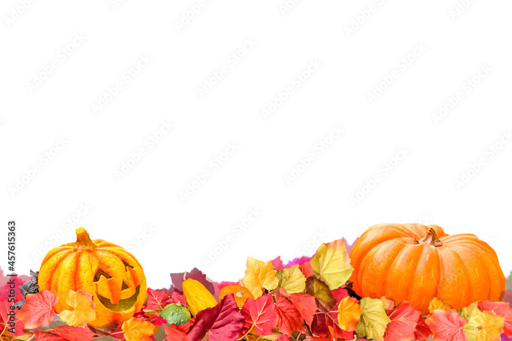 ハロウィンのカボチャと紅葉したツタの葉っぱの背景画像 文字入れタイトルスペース Stock イラスト Adobe Stock