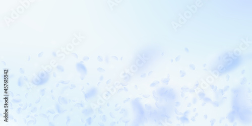 Light blue flower petals falling down. Likable rom