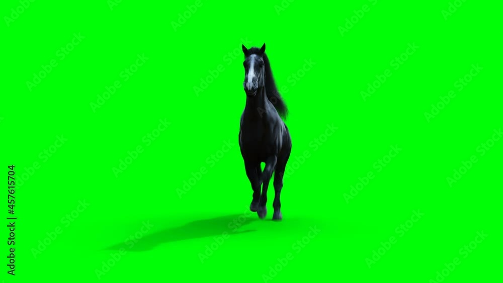 Runing black horse. Green screen realistic animation. Runing black horse. Green screen realistic animation.