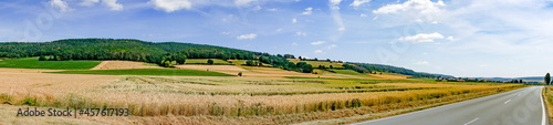 Panorama Landscape in Summer