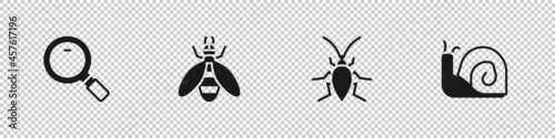 Set Magnifying glass, Bee, Cockroach and Snail icon. Vector