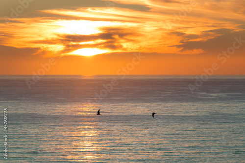 birds and sunset on the beach © Luis Câmara