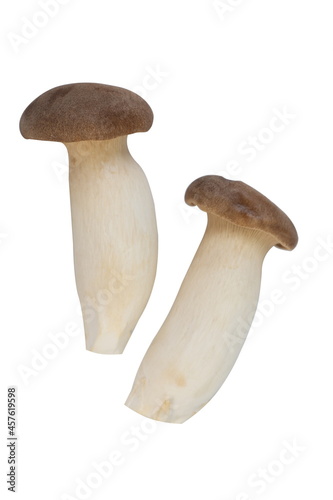 King oyster mushroom isolated on white background.