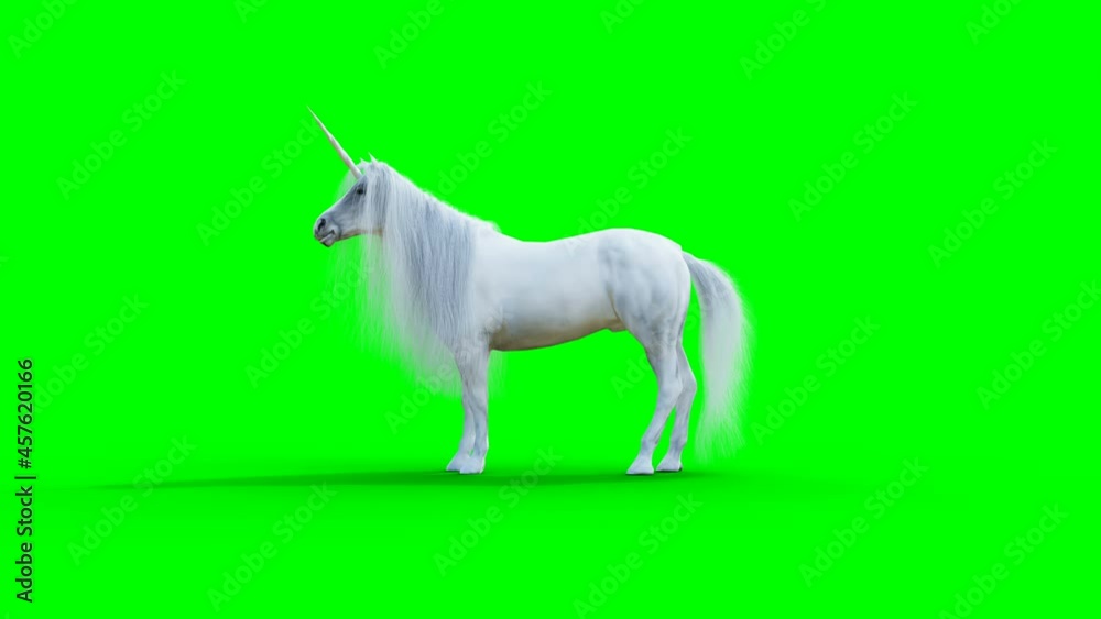 standing white magical unicorn. Green screen realistic animation. vídeo