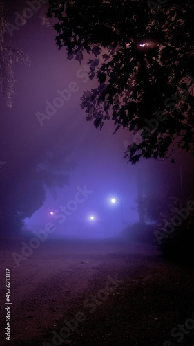 mistery fog city © santiagomercurio