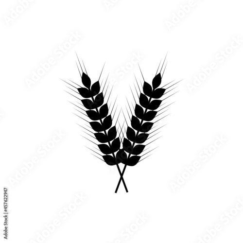 ears of wheat grain vector illustration.