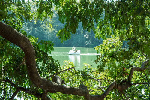 Pedalinho Cisnes  photo