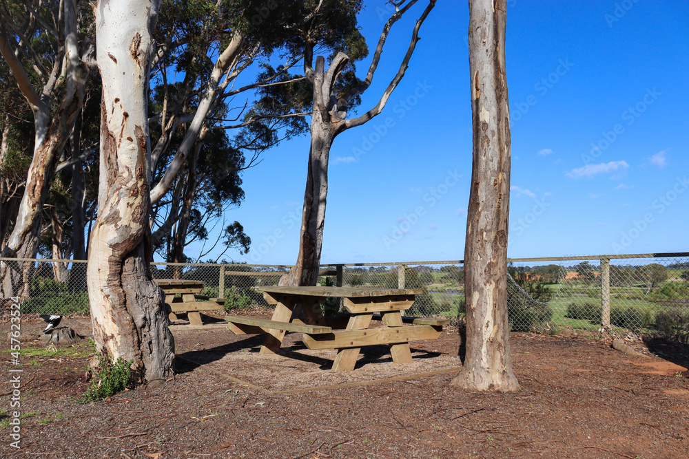 Obraz premium picnic table amongst trees