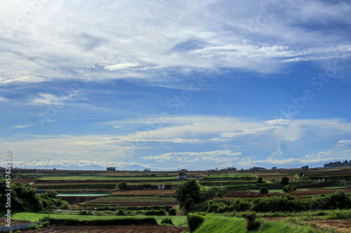 横須賀市津久井 青空と雲と農園の風景