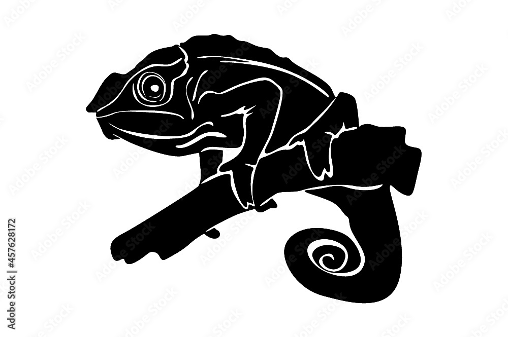 Fototapeta premium chameleon Silhouette