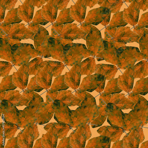 brown color leaves on light brown background abstract graphic design
