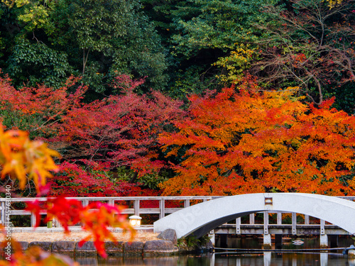 名古屋市にある紅葉が綺麗な日本庭園