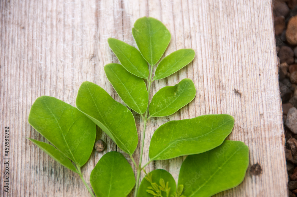 moringa green leaves on wooden background moringa green leaves on wooden background