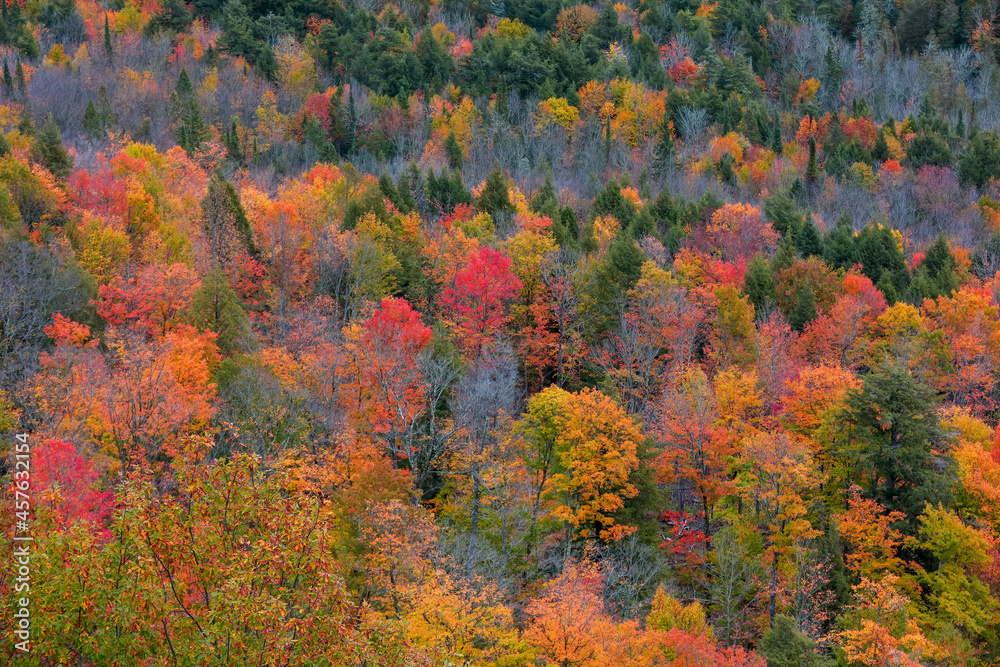 Black river national forest aerial view during autumn time in Michigan upper peninsula