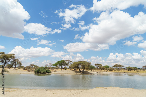 Wildlife gathering in the wide sky and waters of Tarangire National Park in Tanzania