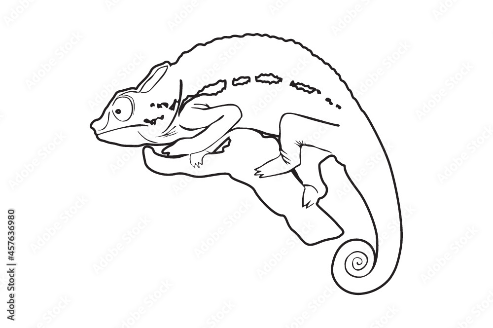 chameleon Line art chameleon Line art