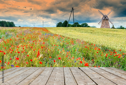 Countryside spring field and old windmill on horizon. Concept of ecological t...