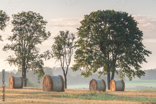 Fototapeta Naklejka Na Ścianę i Meble -  View of the Masurian fields.