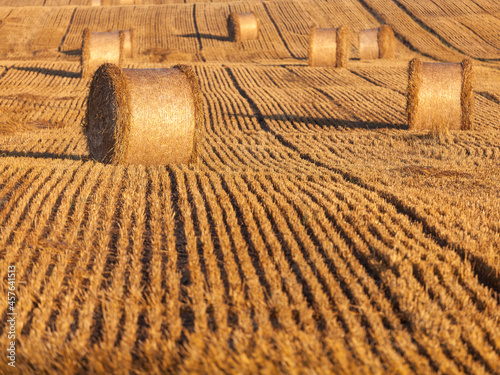 Fototapeta Naklejka Na Ścianę i Meble -  View of the Masurian fields.